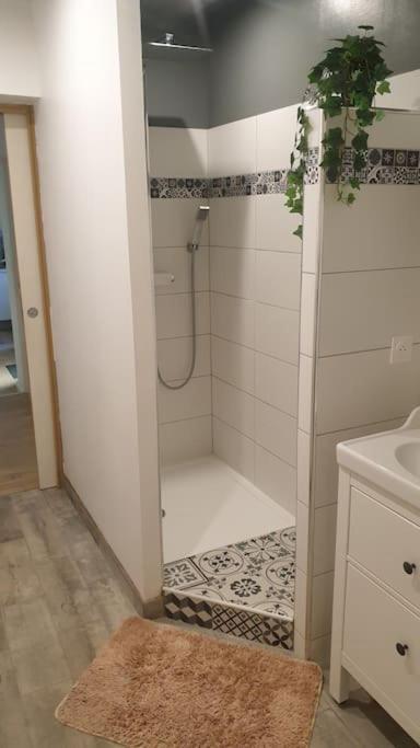 Appartement 80M2 6 Couchages Garidech Esterno foto